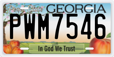 GA license plate PWM7546