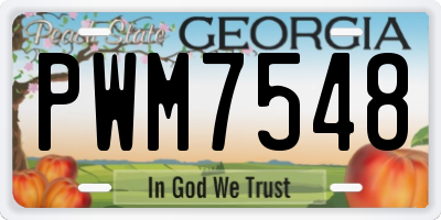GA license plate PWM7548