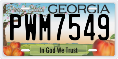 GA license plate PWM7549