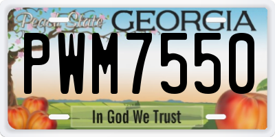 GA license plate PWM7550