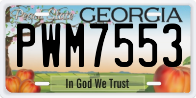 GA license plate PWM7553