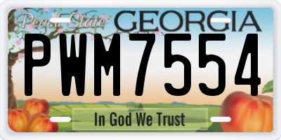 GA license plate PWM7554
