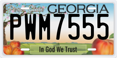 GA license plate PWM7555