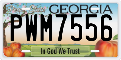GA license plate PWM7556