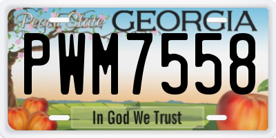 GA license plate PWM7558