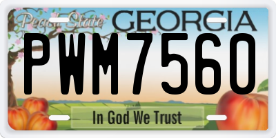 GA license plate PWM7560