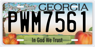GA license plate PWM7561