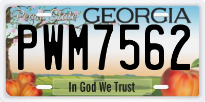GA license plate PWM7562