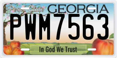 GA license plate PWM7563