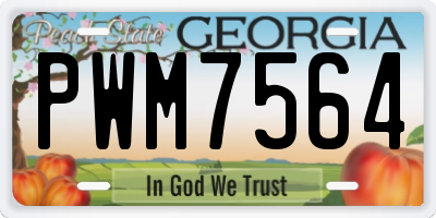 GA license plate PWM7564