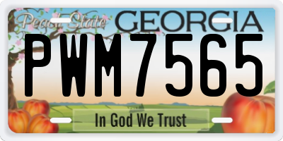 GA license plate PWM7565