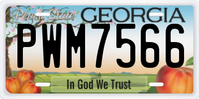 GA license plate PWM7566