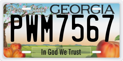GA license plate PWM7567