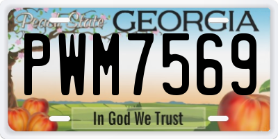 GA license plate PWM7569