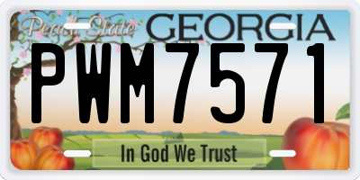 GA license plate PWM7571
