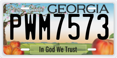 GA license plate PWM7573
