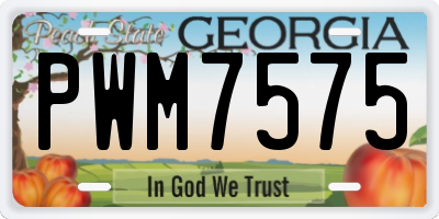 GA license plate PWM7575