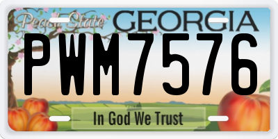 GA license plate PWM7576