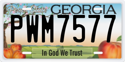 GA license plate PWM7577