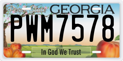GA license plate PWM7578