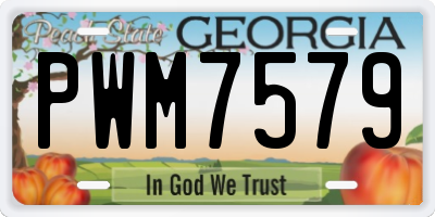 GA license plate PWM7579