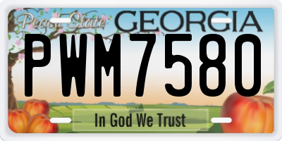 GA license plate PWM7580