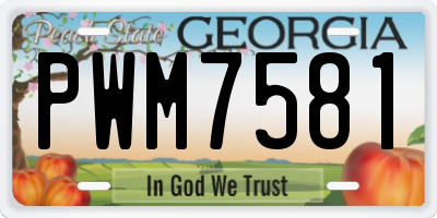 GA license plate PWM7581