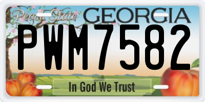 GA license plate PWM7582