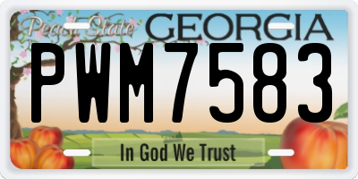 GA license plate PWM7583