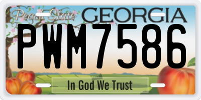 GA license plate PWM7586