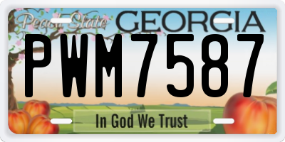 GA license plate PWM7587
