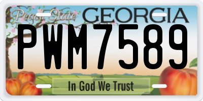 GA license plate PWM7589