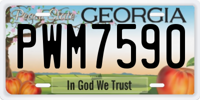 GA license plate PWM7590