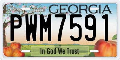 GA license plate PWM7591