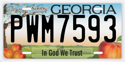 GA license plate PWM7593