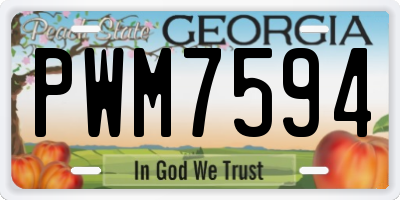 GA license plate PWM7594
