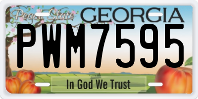 GA license plate PWM7595