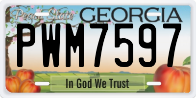GA license plate PWM7597