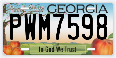 GA license plate PWM7598