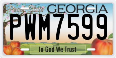 GA license plate PWM7599