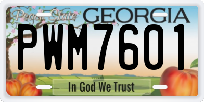 GA license plate PWM7601