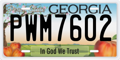 GA license plate PWM7602