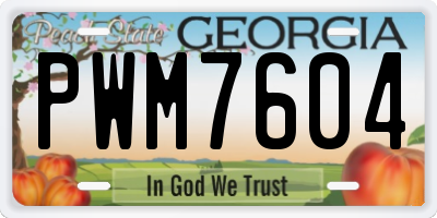 GA license plate PWM7604