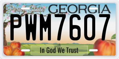 GA license plate PWM7607