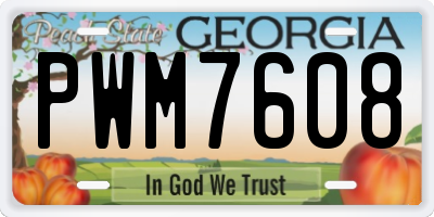 GA license plate PWM7608
