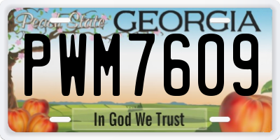 GA license plate PWM7609