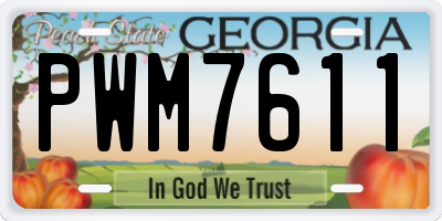 GA license plate PWM7611