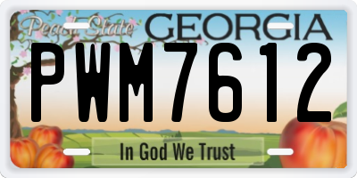 GA license plate PWM7612
