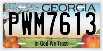 GA license plate PWM7613