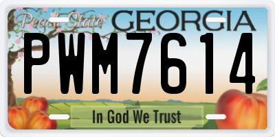 GA license plate PWM7614